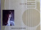 DAVID WILCOX HOW DID YOU FIND ME HERE LP RARE