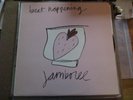 BEAT HAPPENING - Jamboree - Lp - 1st Pressing 1988 - Near-Mint  K Records