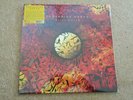 Tangerine Dream:  Machu Picchu    RSD  2019    NEW  Yellow vinyl  LP