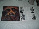 BRITNY FOX Boys In Heat '89 LP US HAIR metal ORIGINAL RARE IMPORT RED pr MINT-