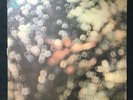 PINK FLOYD Obscured By Clouds HARVEST UK ORIGINAL PRESS Textured Sleeve VINYL LP