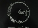 Einstürzende Neubauten LP Live 1982 (2004)