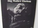 Big Walter Horton with Carey Bell LP 12