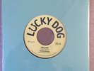TINDERSTICKS WILLOW LIMITED 7