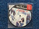Alice in Chains Down in a Whole 7” picture disc