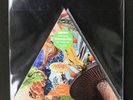 MODEST MOUSE Poison The Well  RSD 7