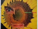 CAETANO VELOSO Circulado ORIG BRAZIL PYSCH POP ROCK 1991 LP VG+ HEAR
