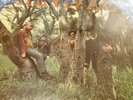 Creedence Clearwater Revival - First Album 1969 UK Pressing Blue Liberty Label