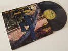 GBENGA ADEFESO & SOCIAL CIRCLE ORCHESTRA DEEP AFRO JUJU PSYCH LP G+/VG-/VG