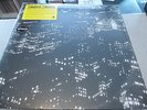 Timber Timbre - Sincerely, Future Pollution- LP Vinyl / Neu&OVP / Gatefold / MP3