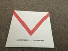 Saint Etienne-Saturday boy.7