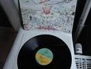 GREEN DAY      original black Vinyl LP     Dookie (Ernie) (1994 Germany)