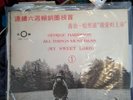 George harrison all things must pass lp China Release