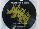 MUMFORD & SONS 'Delta Acoustic Sessions' RSD Ltd Edition PIC DISC Vinyl 10