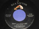 PEE WEE KING Beauty Is As Beauty Does 45 Nevermind RCA victor 47-6162