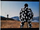 Pink Floyd ? Delicate Sound Of Thunder (2 x LP, Vinyl EX) Album Original 1988 ?