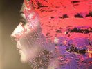 WILSON, Steve - Hand Cannot Erase - Vinyl (gatefold heavyweight vinyl 2xLP)