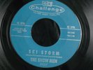 2Z CHALLENGE 59227 GARAGE SURF ROCK THE SNOW MEN SKI STORM SKI STORM II