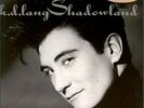 KD Lang -Shadowland - US LP Album