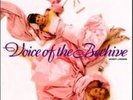 Voice of the Beehive Honey Lingers European Lp