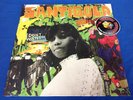 Santigold I Don't Want Gold Fire Sessions Vinyl LP RSD 2019 NEW Piranha Records