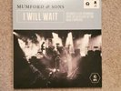 Mumford and Sons Vinyl Record 7