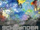 Der Nino Aus Wien - Schwunder Vinyl LP NEU 0553299