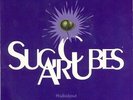 Sugarcubes Walkabout Uk 12