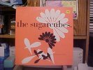 Sugarcubes Birthday Icelandic Uk 12