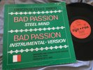 STEEL MIND Bad Passion 12
