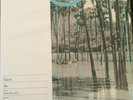 Four Tet Pink Vinyl Me Please SOLD OUT complete package NEW/unplayed 180gram 2LP