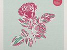Bent Denim - Romances You Vinyl LP NEU 0553731