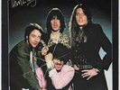 THIN LIZZY Do Anything You Want To RARE *M-* Holland 45 dutch 7