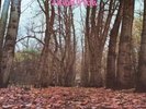 TWINK-Think Pink - LP AKARMA no Barcode NM