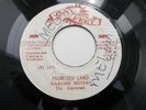 NAIROBI SISTERS - PROMISED LAND 7'' 1975 RARE GAYFEET LISTEN