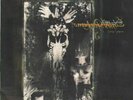 Fields Of The Nephilim Earth Inferno Rebel Rec 2xVinyl LP