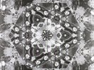 Atomic Forest-Obsession (US IMPORT) Vinyl / 12