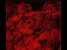 AT THE GATES - To Drink From The Night Itself Gatefold LP black NEUWARE