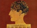 MURRAY HEAD: NIGEL LIVED (LP vinyl *BRAND NEW*)