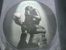 Vinyl Record 12” Picture Disc VAN HALEN WHEN IT'S LOVE (149)15