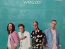 Weezer - Teal Album - Vinyl LP RSD