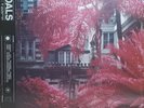 Foals ?– Everything Not Saved Will Be Lost: Part 1 - VINYL LP RECORD