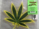 Cheech and Chong Up In Smoke Picture Disc RSD 2019 Exclusive