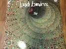 Rare Bad Brains Rise Vinyl LP, Original 1983 vg