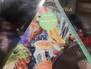 MODEST MOUSE POISON THE WELL TRIANGLE PICTURE DISC RECORD STORE DAY RSD 2019