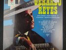 Gerardo Reyes - Boleros Nortenos y Porros Sensacionales (Caliente CLT 7138)