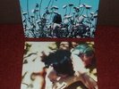 THE CREATURES Boomerang LP 1989 WONDERLAND 1st Press  1U/1U  MINT