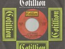 PATTI AND THE LOVELITES - LOVE BANDIT - EX++ COTILLION 7