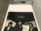 Stains - S/T Lp 1st Press Punk Vinyl Black Flag Misfits MDC