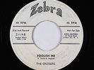 Doo-Wop/R&B 45 - Cruisers - Foolish Me/There's A Girl - Zebra - mp3